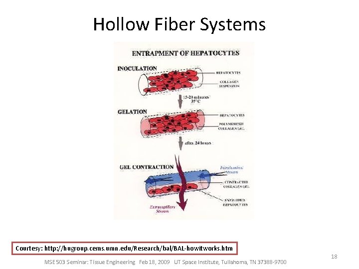 Hollow Fiber Systems Courtesy: http: //hugroup. cems. umn. edu/Research/bal/BAL-howitworks. htm MSE 503 Seminar: Tissue