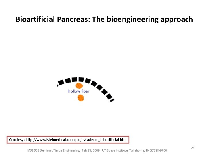 Bioartificial Pancreas: The bioengineering approach Courtesy: http: //www. isletmedical. com/pages/science_bioartificial. htm MSE 503 Seminar: