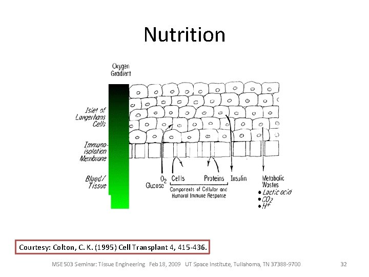 Nutrition Courtesy: Colton, C. K. (1995) Cell Transplant 4, 415 -436. MSE 503 Seminar: