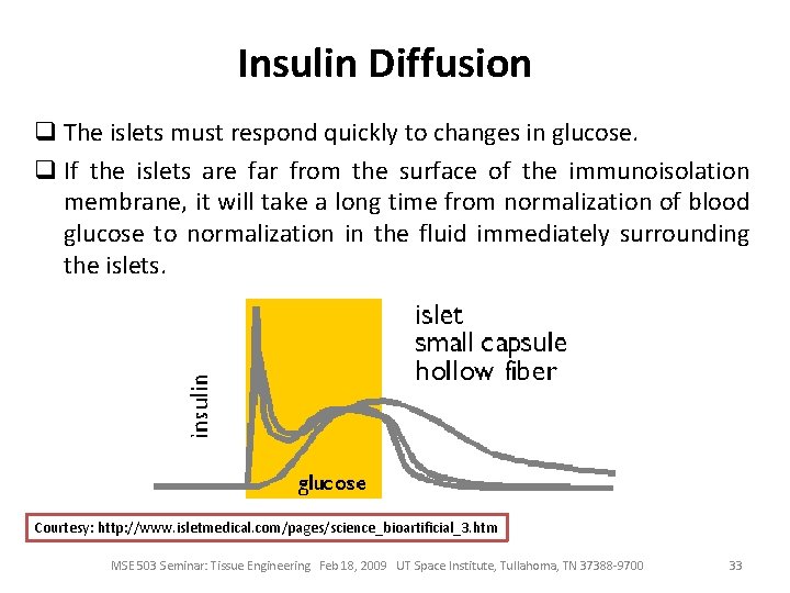 Insulin Diffusion q The islets must respond quickly to changes in glucose. q If
