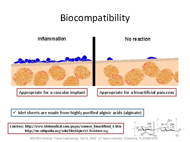 Biocompatibility Appropriate for a vascular implant Appropriate for a bioartificial pancreas ü Islet sheets