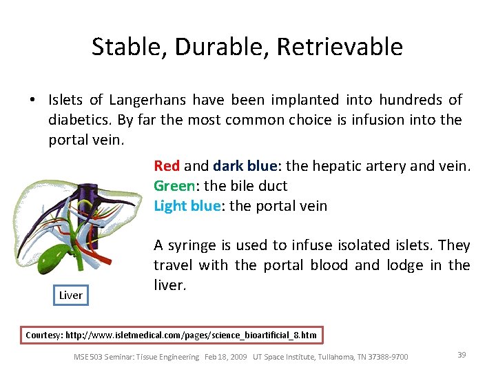 Stable, Durable, Retrievable • Islets of Langerhans have been implanted into hundreds of diabetics.