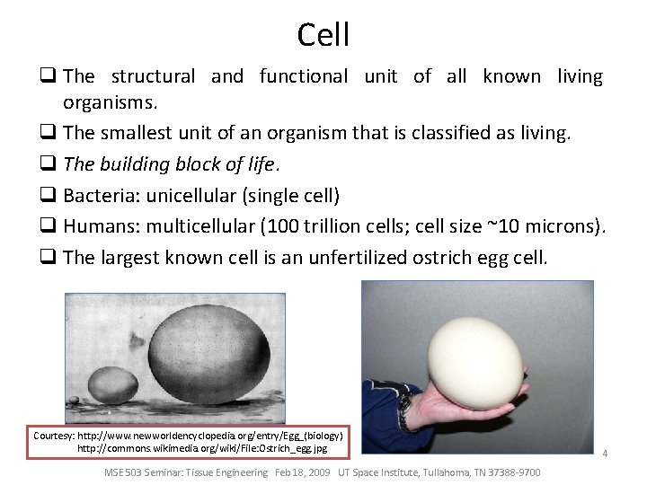 Cell q The structural and functional unit of all known living organisms. q The
