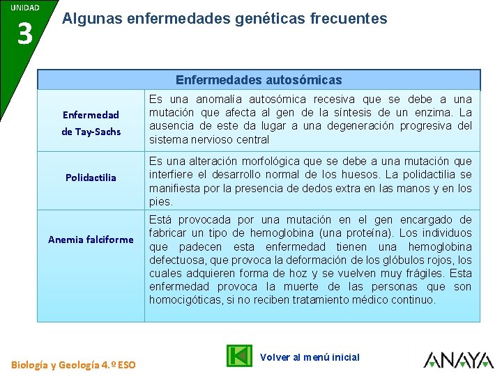 UNIDAD 7 3 Algunas enfermedades genéticas frecuentes Enfermedades autosómicas Enfermedad de Tay-Sachs Es una