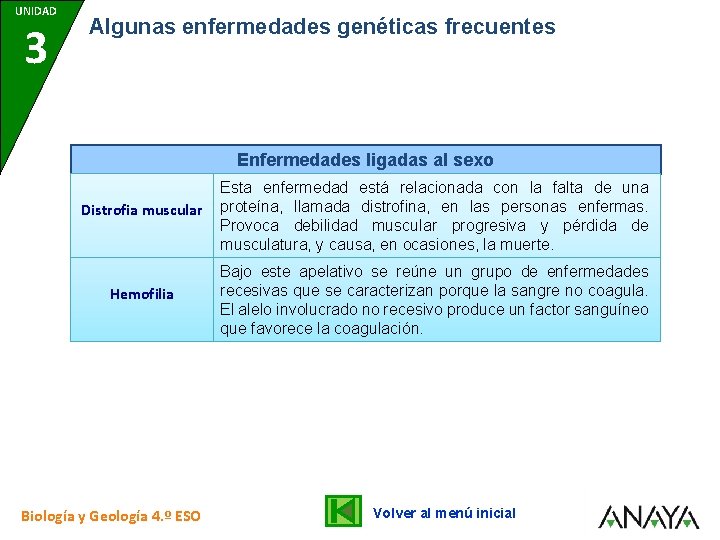 UNIDAD 7 3 Algunas enfermedades genéticas frecuentes Enfermedades ligadas al sexo Distrofia muscular Esta