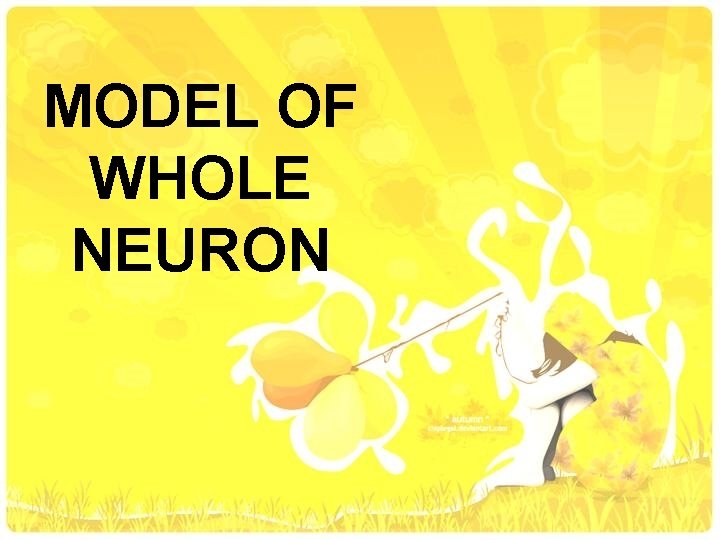 MODEL OF WHOLE NEURON 