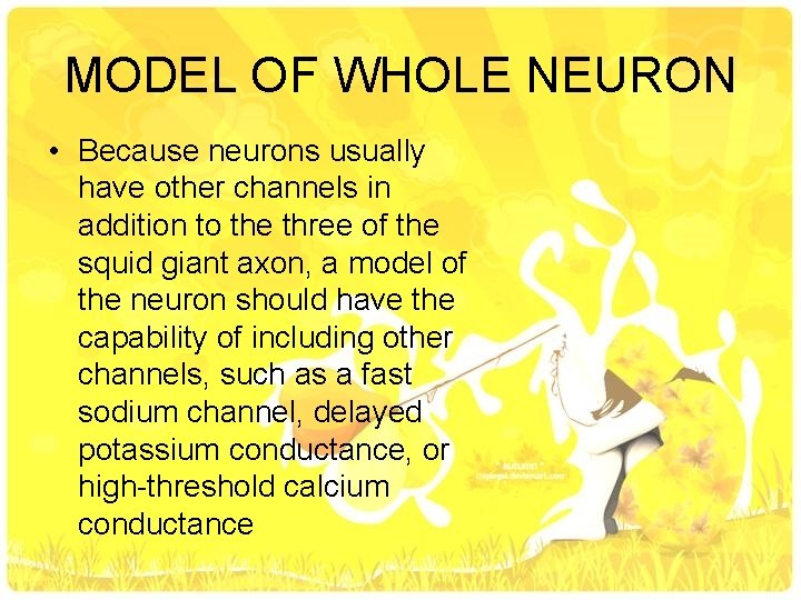 MODEL OF WHOLE NEURON • Because neurons usually have other channels in addition to