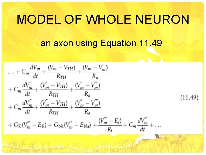 MODEL OF WHOLE NEURON an axon using Equation 11. 49 