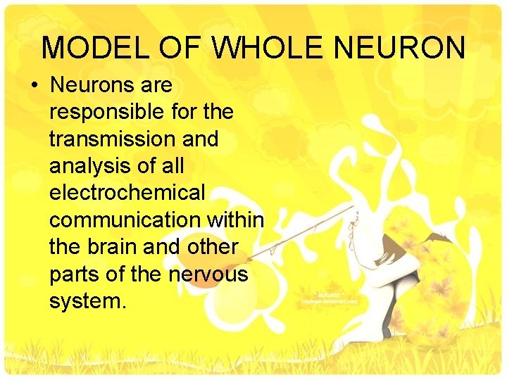 MODEL OF WHOLE NEURON • Neurons are responsible for the transmission and analysis of