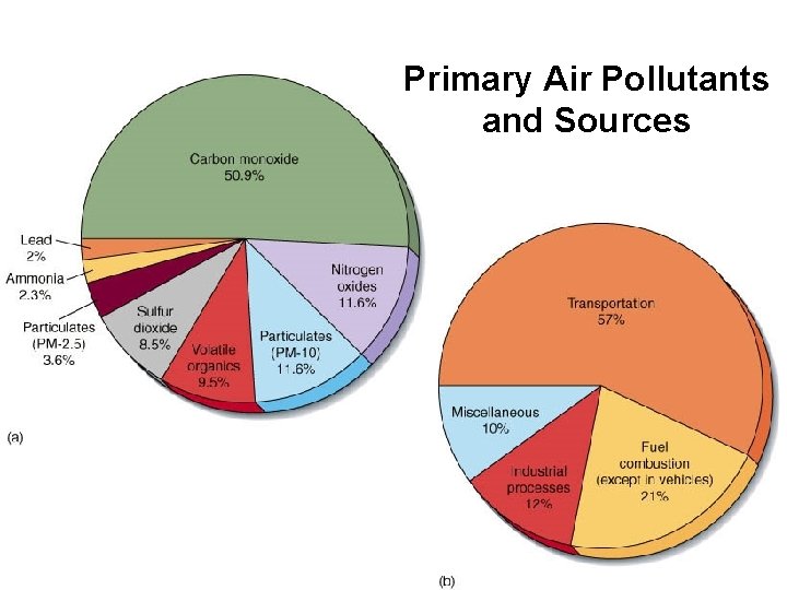 Primary Air Pollutants and Sources 