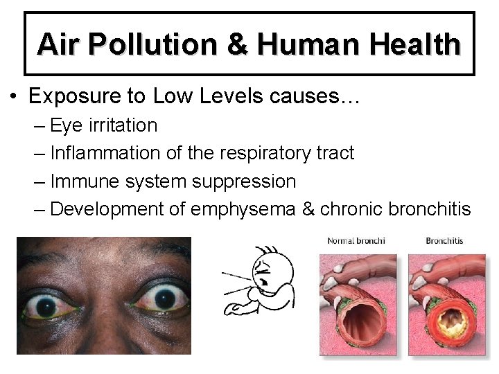 Air Pollution & Human Health • Exposure to Low Levels causes… – Eye irritation
