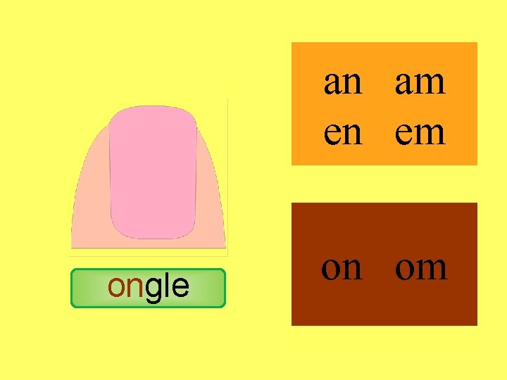 ongle an am en em on om 