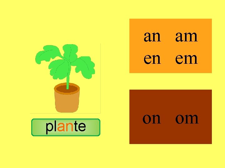 plante an am en em on om 