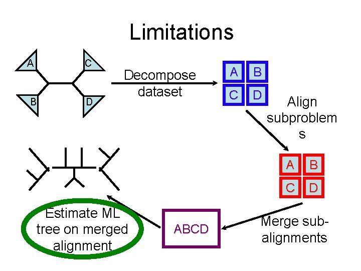 Limitations C A B D Decompose dataset Estimate ML tree on merged alignment ABCD