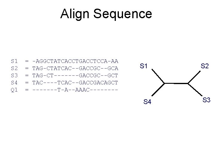 Align Sequence S 1 S 2 S 3 S 4 Q 1 = =