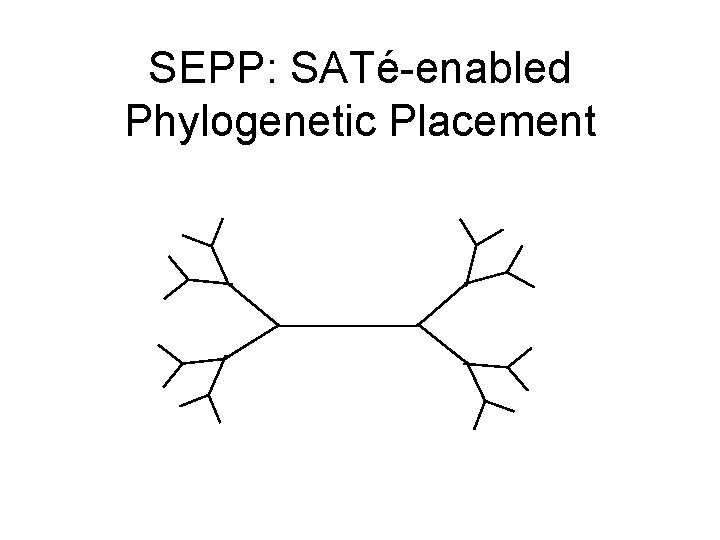 SEPP: SATé-enabled Phylogenetic Placement 