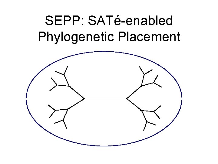 SEPP: SATé-enabled Phylogenetic Placement 