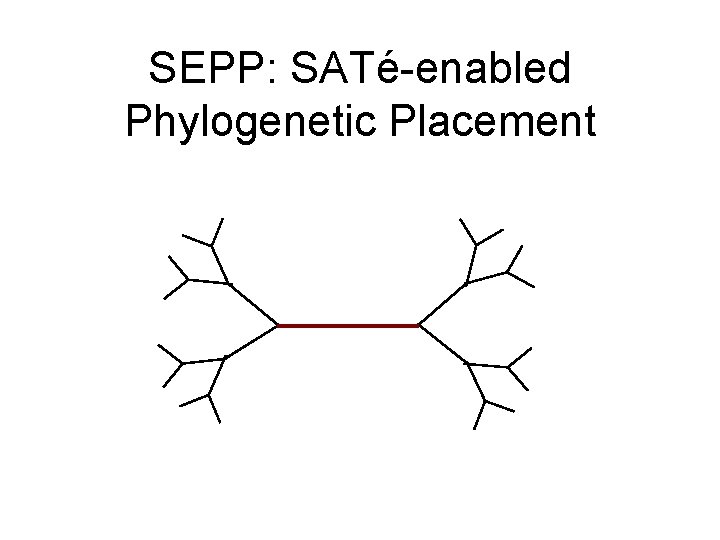 SEPP: SATé-enabled Phylogenetic Placement 