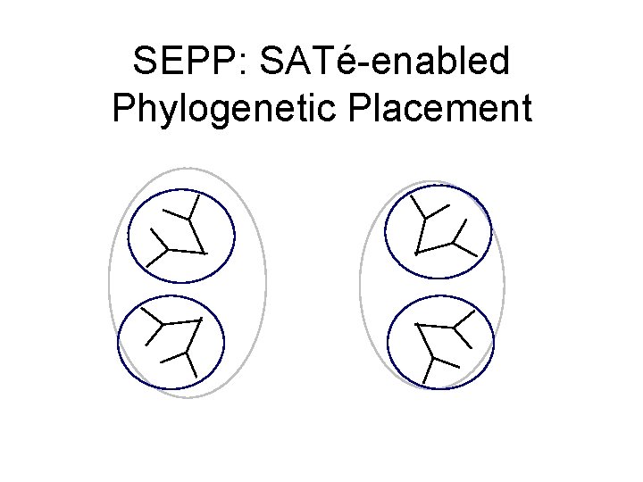 SEPP: SATé-enabled Phylogenetic Placement 