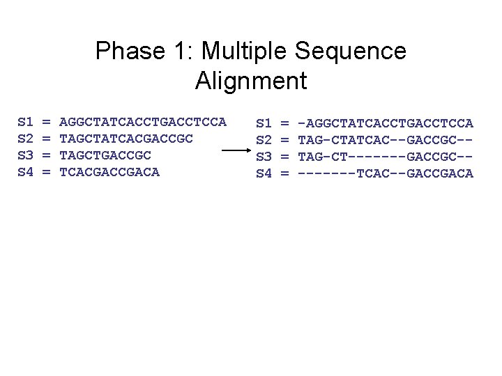 Phase 1: Multiple Sequence Alignment S 1 S 2 S 3 S 4 =