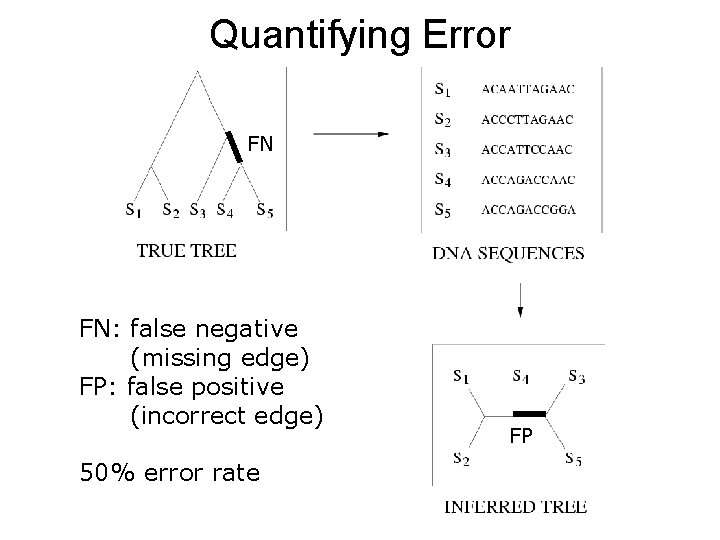 Quantifying Error FN FN: false negative (missing edge) FP: false positive (incorrect edge) 50%