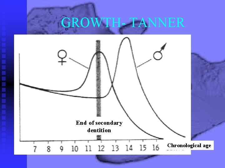 GROWTH- TANNER End of secondary dentition Chronological age 