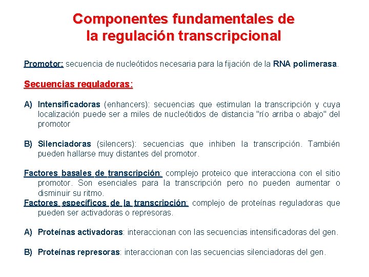 Componentes fundamentales de la regulación transcripcional Promotor: secuencia de nucleótidos necesaria para la fijación