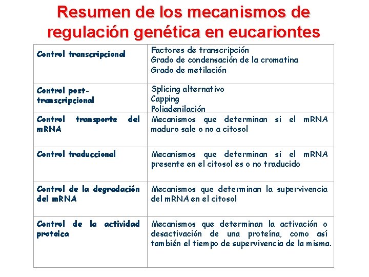 Resumen de los mecanismos de regulación genética en eucariontes Control transcripcional Factores de transcripción