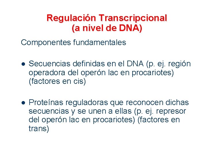 Regulación Transcripcional (a nivel de DNA) Componentes fundamentales l Secuencias definidas en el DNA