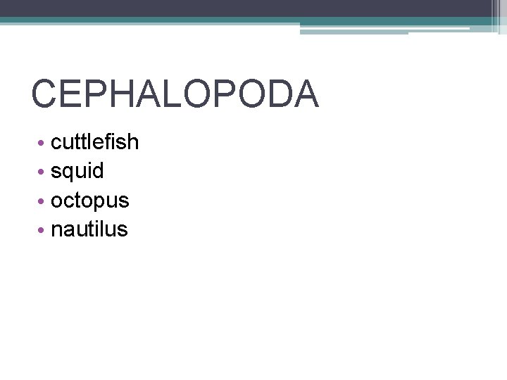 CEPHALOPODA • cuttlefish • squid • octopus • nautilus 