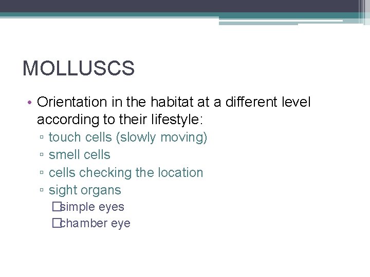 MOLLUSCS • Orientation in the habitat at a different level according to their lifestyle: