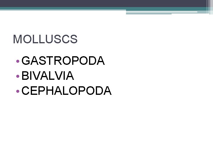 MOLLUSCS • GASTROPODA • BIVALVIA • CEPHALOPODA 