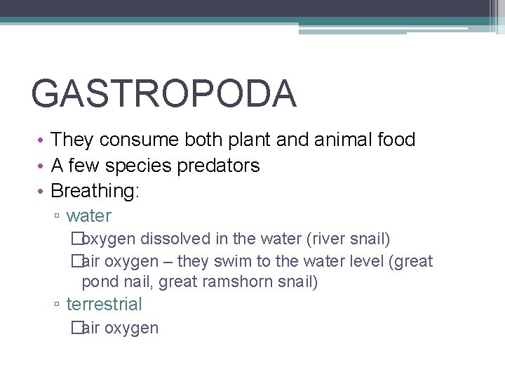 GASTROPODA • They consume both plant and animal food • A few species predators