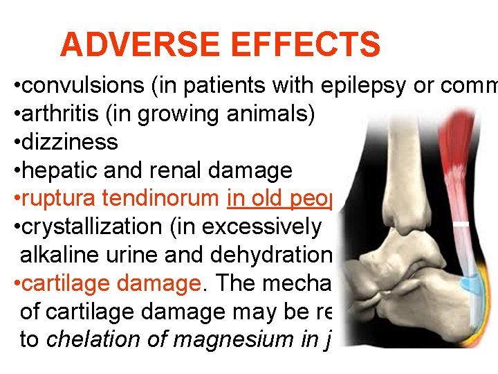 ADVERSE EFFECTS • convulsions (in patients with epilepsy or comm • arthritis (in growing