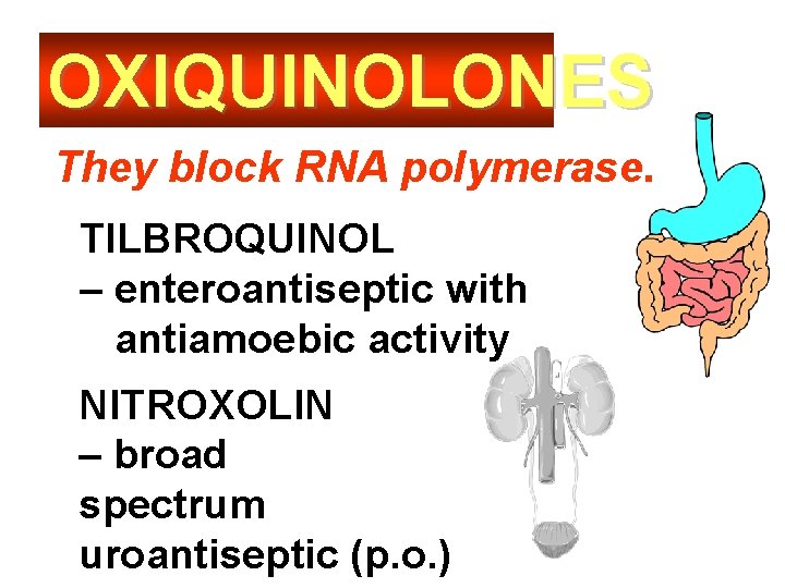 OXIQUINOLONES They block RNA polymerase. TILBROQUINOL – enteroantiseptic with antiamoebic activity NITROXOLIN – broad