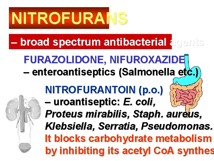 NITROFURANS – broad spectrum antibacterial agents FURAZOLIDONE, NIFUROXAZIDE – enteroantiseptics (Salmonella etc. ) NITROFURANTOIN