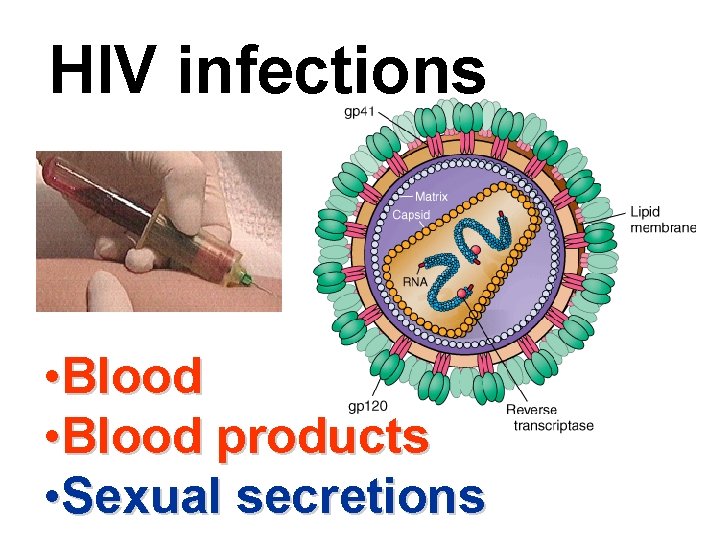 HIV infections • Blood products • Sexual secretions 