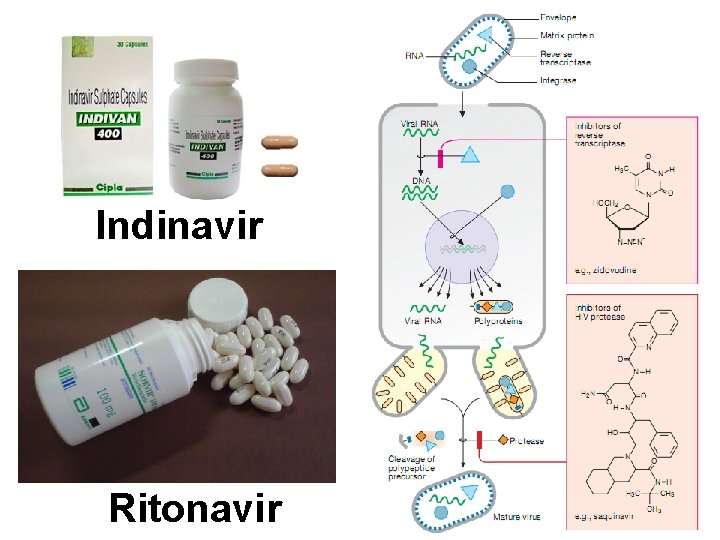 Indinavir Ritonavir 