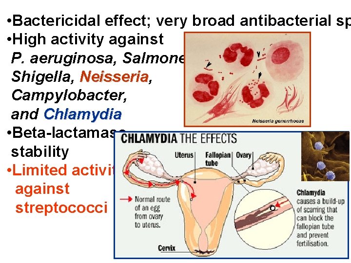  • Bactericidal effect; very broad antibacterial sp • High activity against P. aeruginosa,