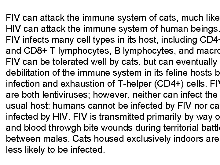 FIV can attack the immune system of cats, much like HIV can attack the