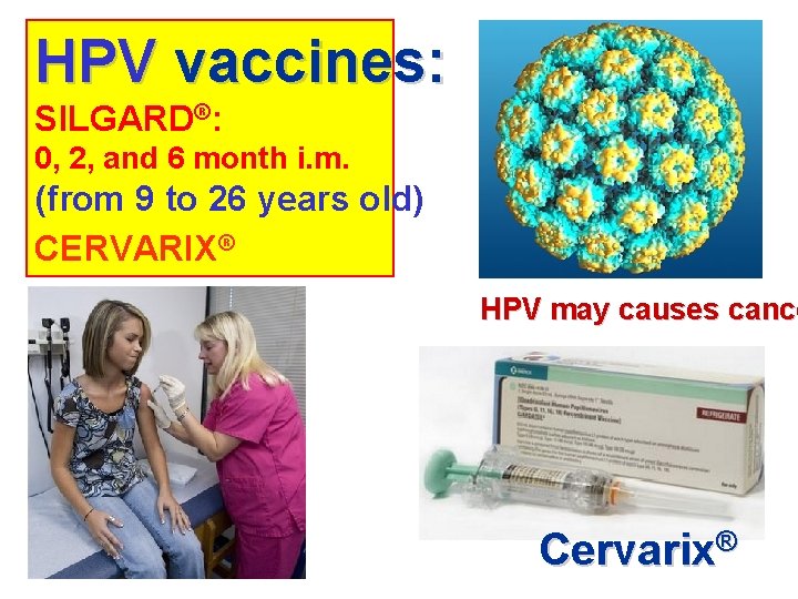 HPV vaccines: SILGARD®: 0, 2, and 6 month i. m. (from 9 to 26