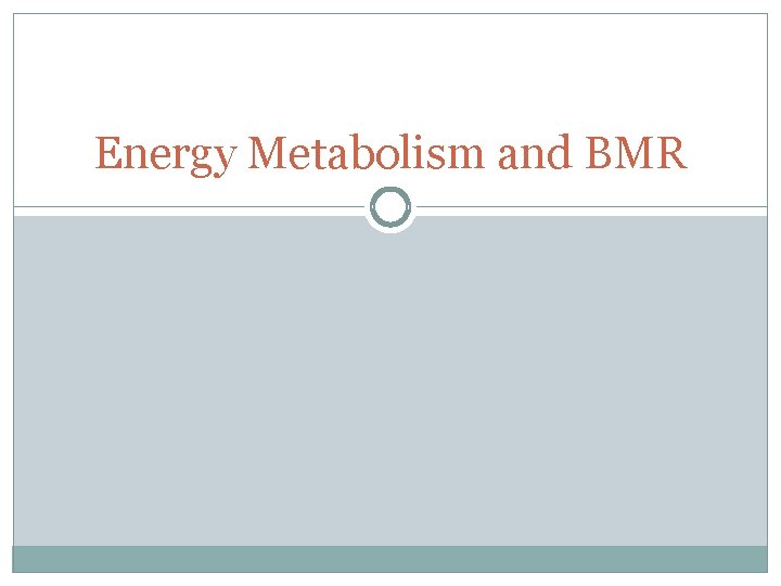Energy Metabolism and BMR 