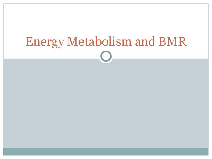 Energy Metabolism and BMR 