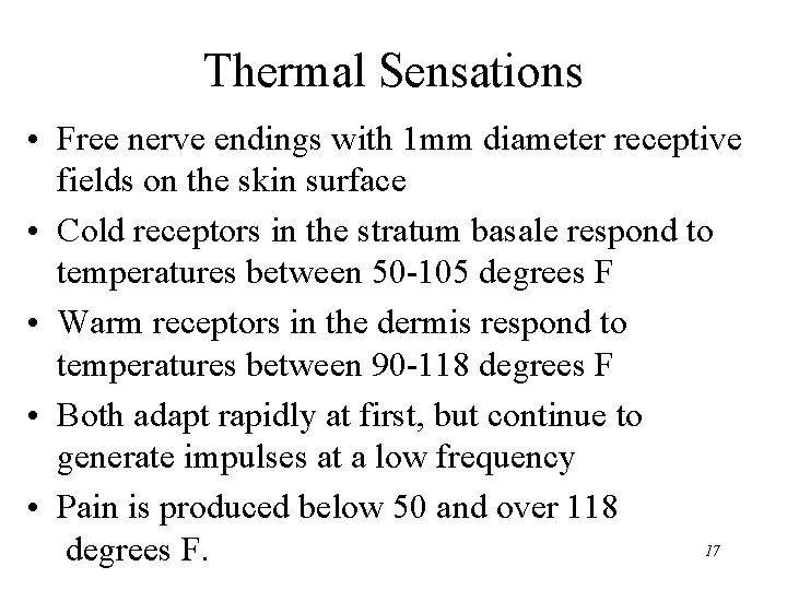 Thermal Sensations • Free nerve endings with 1 mm diameter receptive fields on the
