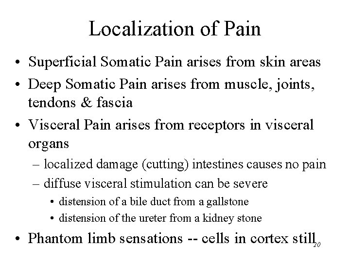 Localization of Pain • Superficial Somatic Pain arises from skin areas • Deep Somatic