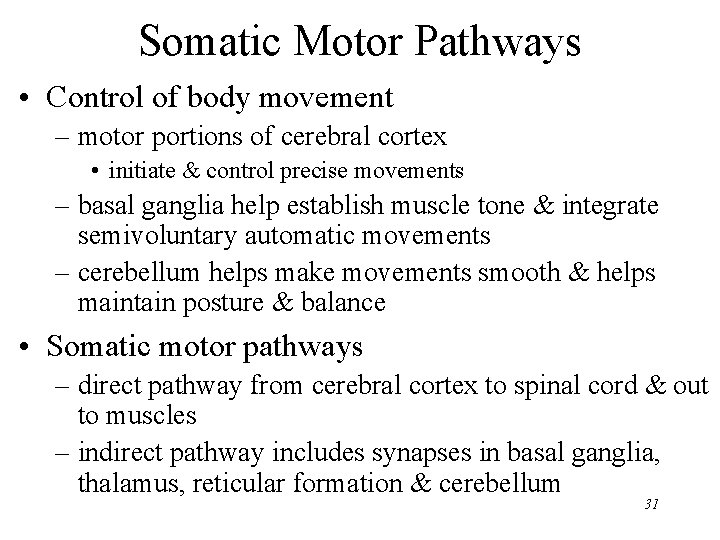 Somatic Motor Pathways • Control of body movement – motor portions of cerebral cortex
