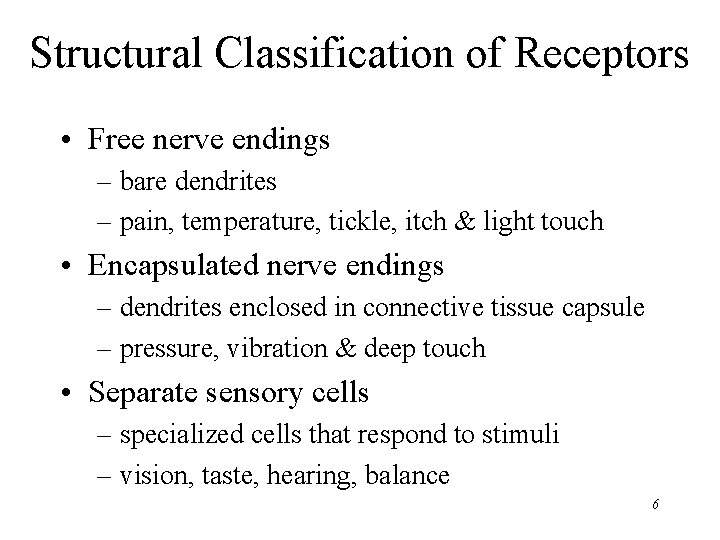 Structural Classification of Receptors • Free nerve endings – bare dendrites – pain, temperature,