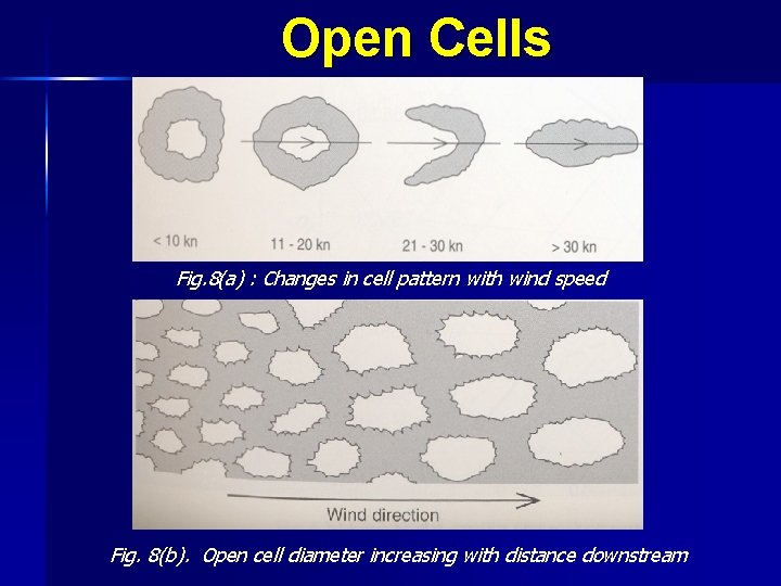 Open Cells Fig. 8(a) : Changes in cell pattern with wind speed Fig. 8(b).