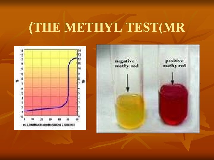 (THE METHYL TEST(MR 