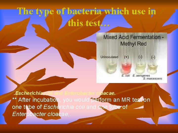 The type of bacteria which use in this test… . Escherichia coli and Enterobacter